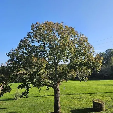Le Tilleul * Saint-Sauveur (Dordogne)